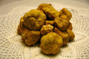 Tartufo bianco di Alba