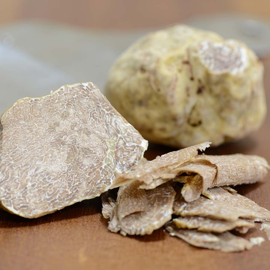 tartufo bianco