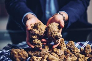 tartufo bianco